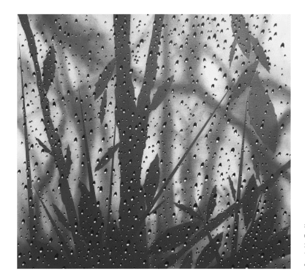 Untitled #008 by Cleverson O