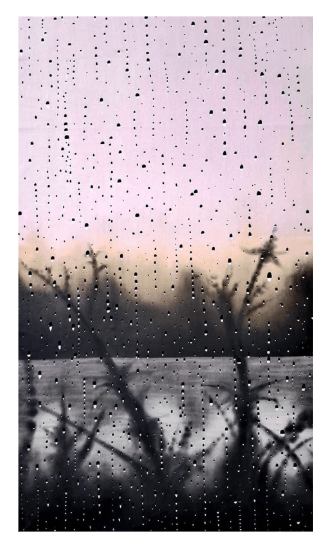 Untitled #005 by Cleverson O