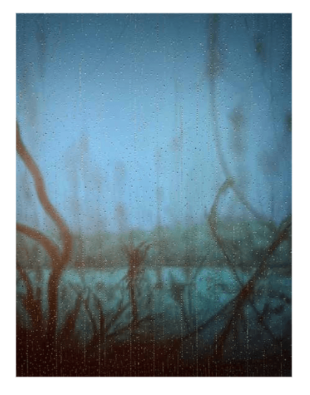 Untitled #011 by Cleverson O