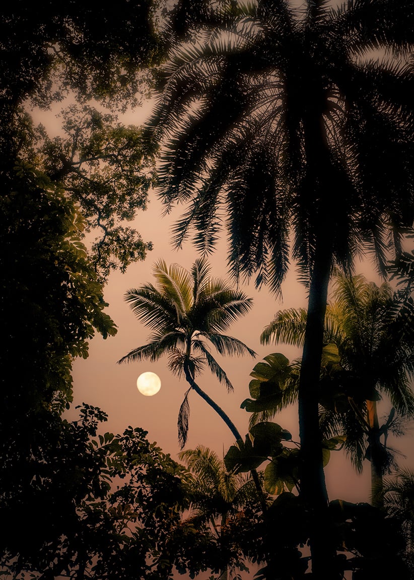 Lua tropical by Luiz Bhering
