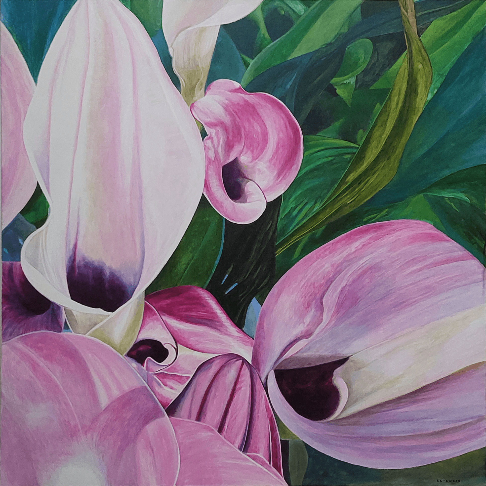 Callas by Artencio