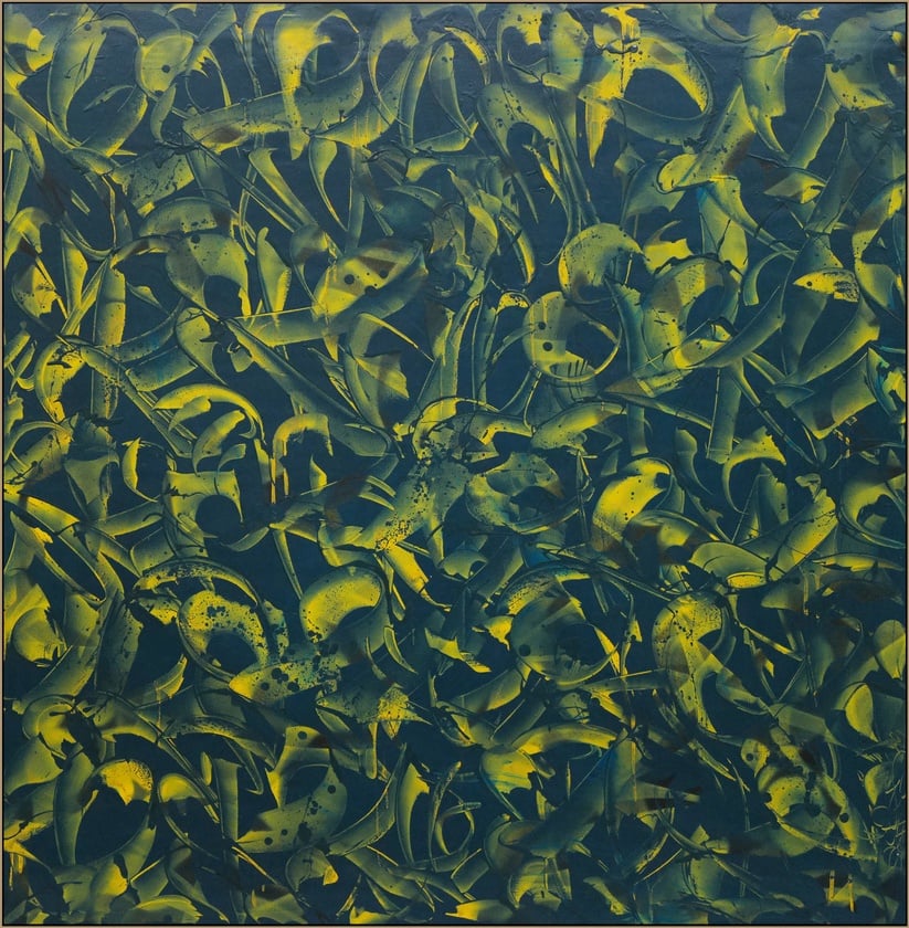 AMAZONIA by Rafael Sliks